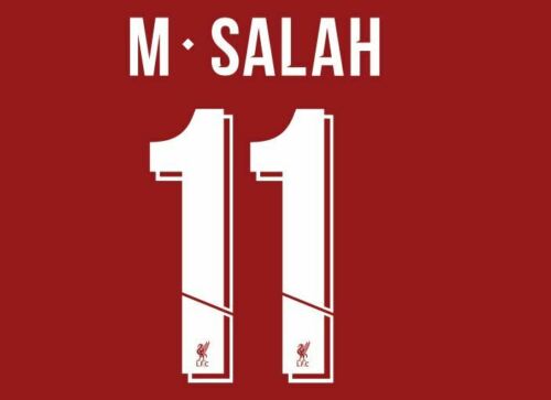 2018 World Cup Russia Egypt National Customized M. Salah Soccer Jerseys -  China M. Salah Jerseys and Egypt Soccer Jersey price