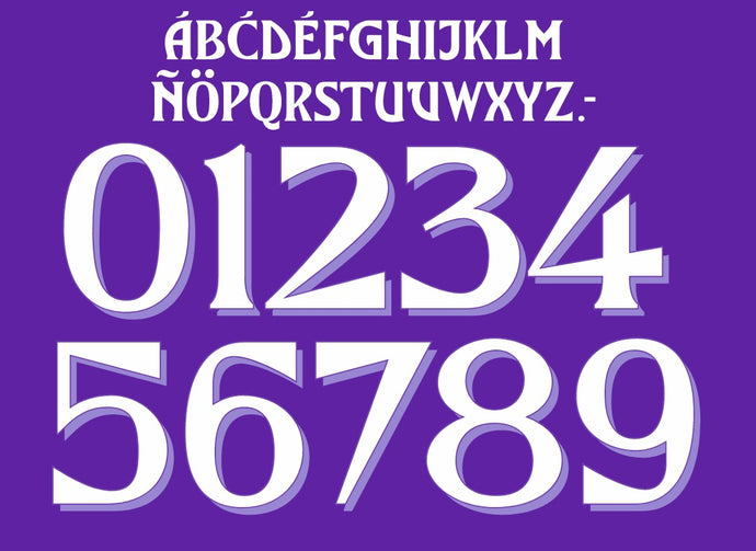 anderlecht 2024 2025 home football shirt nameset