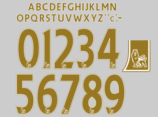 Premier League EPL 2007-2013 FLOCK GOLD Nameset for Football Shirt Any Name (upto 10 letters) & Number