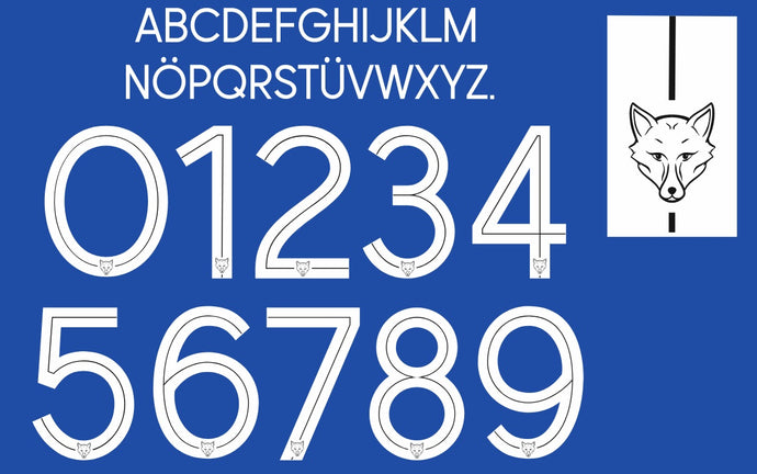 Leicester City 2021-2022 Home Nameset for Football Shirt Any Name & Number