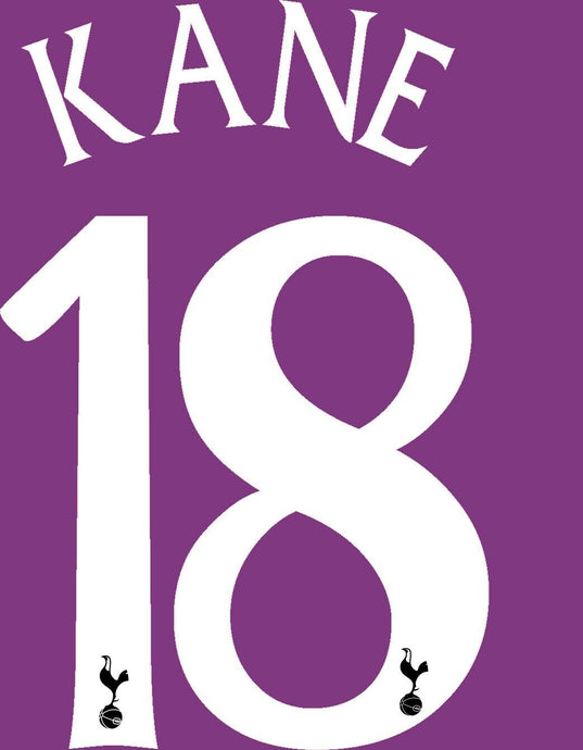 Kane #18 2011-2014 Tottenham Spurs Away Football Nameset 4 shirt