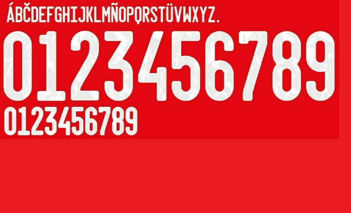 Russia Euro 2021 Home Football Shirt Nameset Any Name & Number – House ...