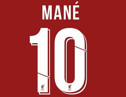 Liverpool Champions League 2018-2022 Football Shirt Nameset Choose Player or Own