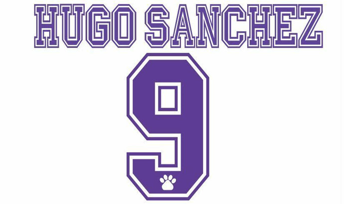 No 9 Hugo Sanchez Real Madrid 1996-1998 Home Football Nameset for shirt