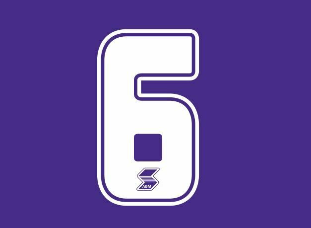 Chargez l&#39;image dans la visionneuse de la galerie, Fiorentina 1990-1991 Home ABM Number Football Shirt Nameset Choose Ur Number
