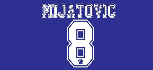 Mijatovic 8 Real Madrid 1996-1998 Away Football Nameset for shirt