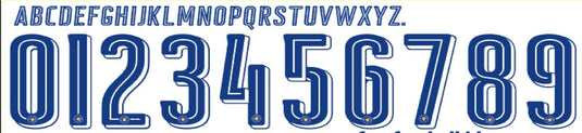 Leicester City 2016-2017 Away CL Football Shirt Nameset Any Name & Number