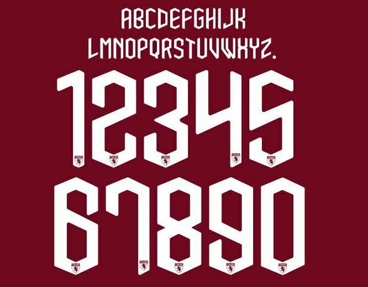 Torino 2019-2020 Home Football Nameset for shirt Any Name & Number