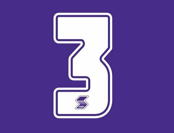 Chargez l&#39;image dans la visionneuse de la galerie, Fiorentina 1990-1991 Home ABM Number Football Shirt Nameset Choose Ur Number
