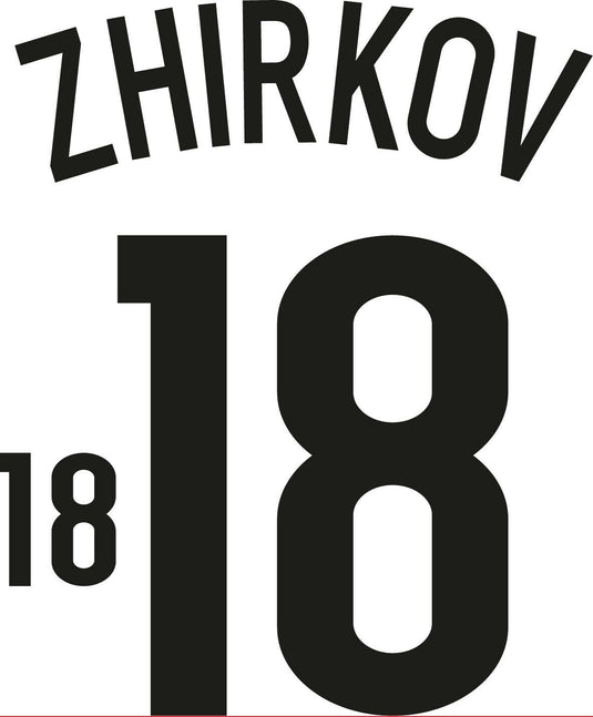 Zhirkov #18 Russia 2008-2009 Away Football Nameset for shirt