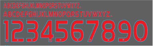 Napoli 2009-2010 Home Football Nameset for shirt Any Name & Number