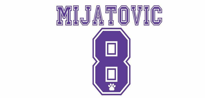 Mijatovic 8 Real Madrid 1996-1998 Home Football Nameset for shirt