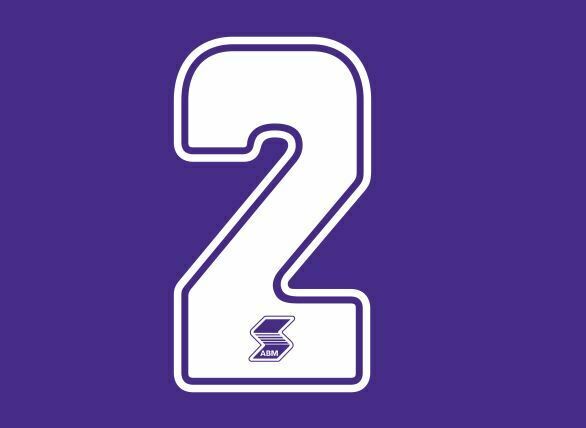 Chargez l&#39;image dans la visionneuse de la galerie, Fiorentina 1990-1991 Home ABM Number Football Shirt Nameset Choose Ur Number
