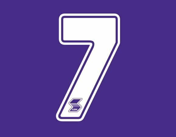 Chargez l&#39;image dans la visionneuse de la galerie, Fiorentina 1990-1991 Home ABM Number Football Shirt Nameset Choose Ur Number
