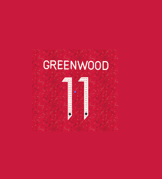 Greenwood 11 Manchester united 2020-2021 CHampions League Home Football Nameset for shirt